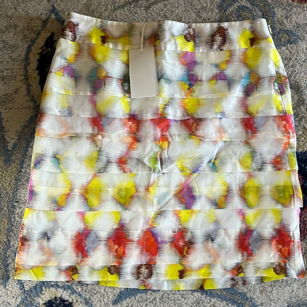 Ann Taylor Women’s Skirt
